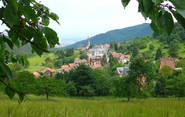 Hotel Du Haut Koenigsbourg- Entre Vignes Et Chateau Thannenkirch Exterior photo